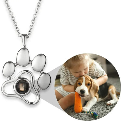 Collar dog