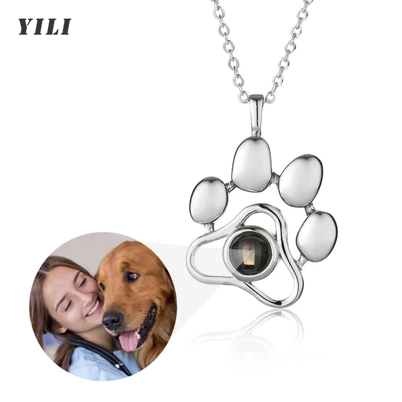 Collar dog